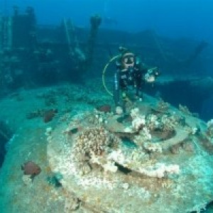 Duikcruises in Egypte